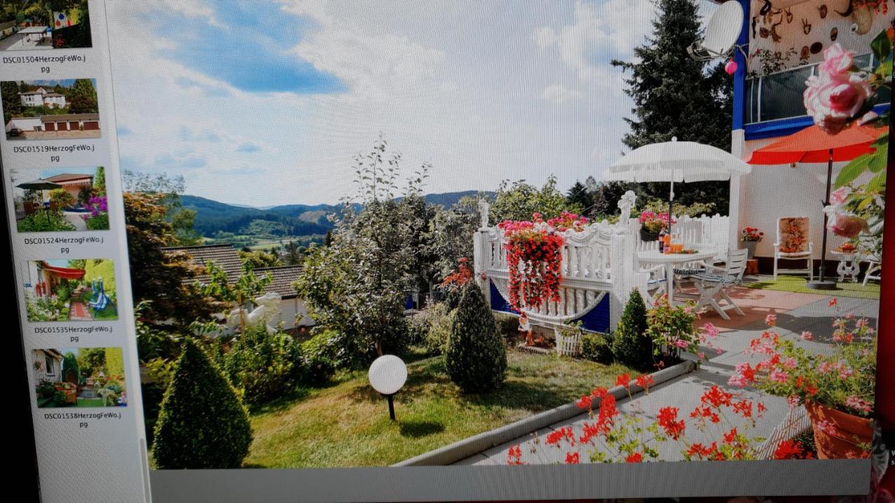 Ferienhaus Haus Herzog Titisee-Neustadt Exteriér fotografie