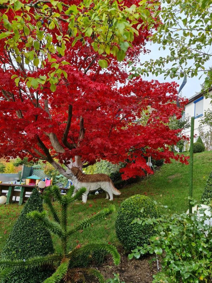 Ferienhaus Haus Herzog Titisee-Neustadt Exteriér fotografie