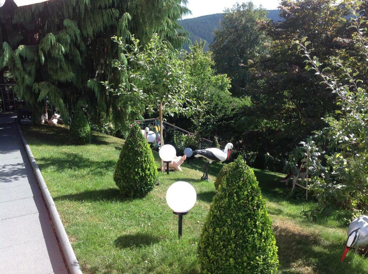 Ferienhaus Haus Herzog Titisee-Neustadt Exteriér fotografie